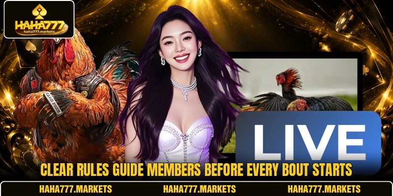 Clear rules guide members before every bout starts
