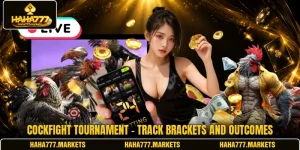 Cockfight Tournament - Track Brackets And Outcomes
