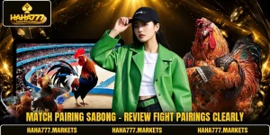 Match Pairing Sabong - Review Fight Pairings Clearly