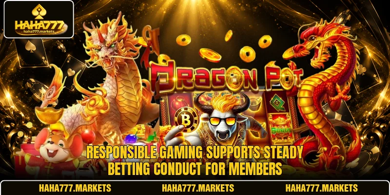 Responsible gaming supports steady betting conduct for members Responsible gaming supports steady betting conduct for members