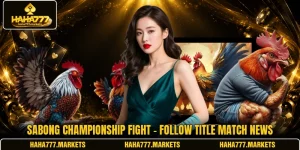 Sabong Championship Fight - Follow Title Match News