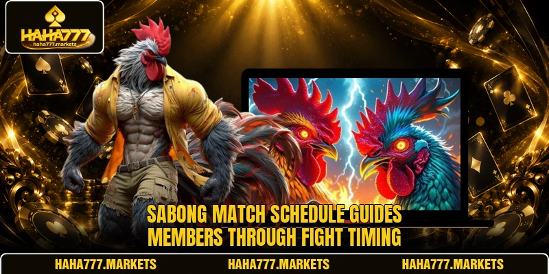 Sabong Match Schedule guides members through fight timing