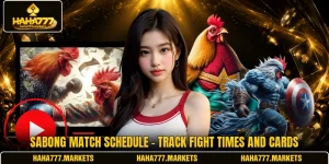 Sabong Match Schedule - Track Fight Times And Cards